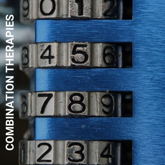 A Framework for Value-aligned Pricing of Combination Therapies